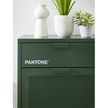 Meuble à chaussures PANTONE métal kaki 55cm