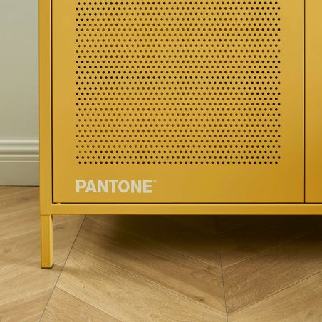 Armoire PANTONE métal jaune moutarde 2 portes