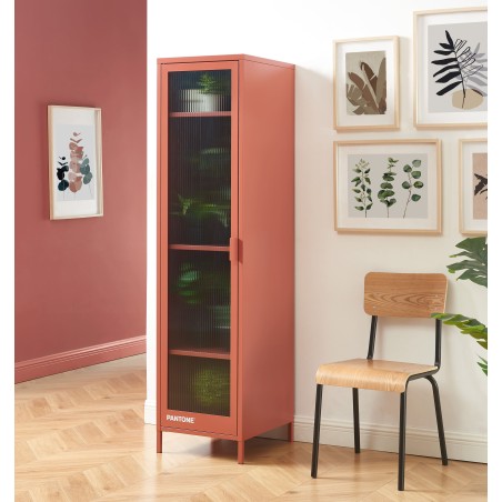 Vestiaire PANTONE terracotta porte en verre cannelé