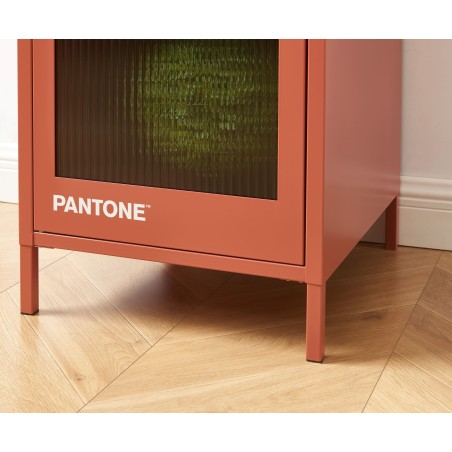 Vestiaire PANTONE terracotta porte en verre cannelé