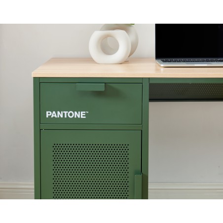 Bureau PANTONE métal kaki 120cm