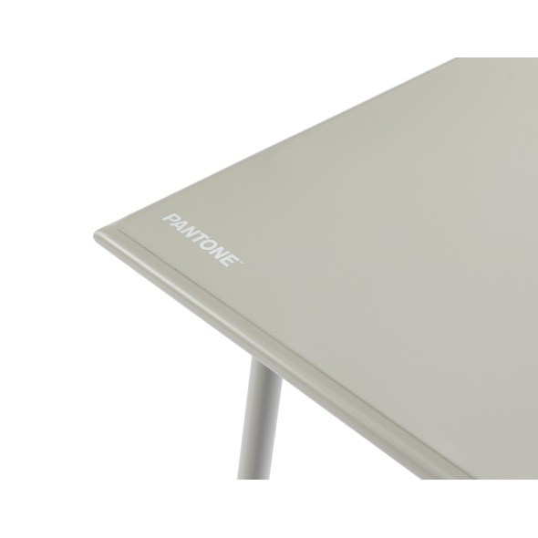 Table de jardin PANTONE coloris gris glacier 140x80 cm