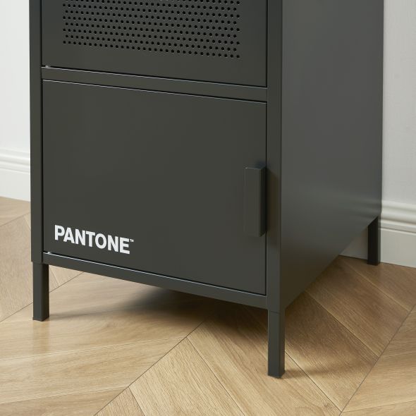 Vestiaire PANTONE métal gris anthracite h180cm