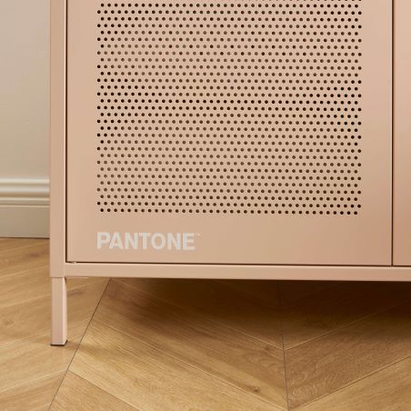 Armoire PANTONE métal rose blush 2 portes