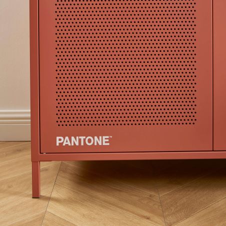 Armoire PANTONE métal terracotta 2 portes