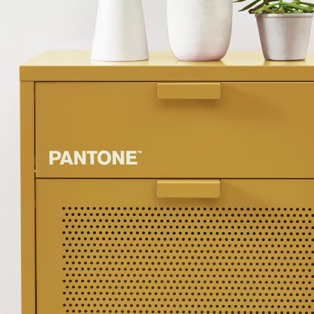 Meuble à chaussures PANTONE métal jaune moutarde 55cm